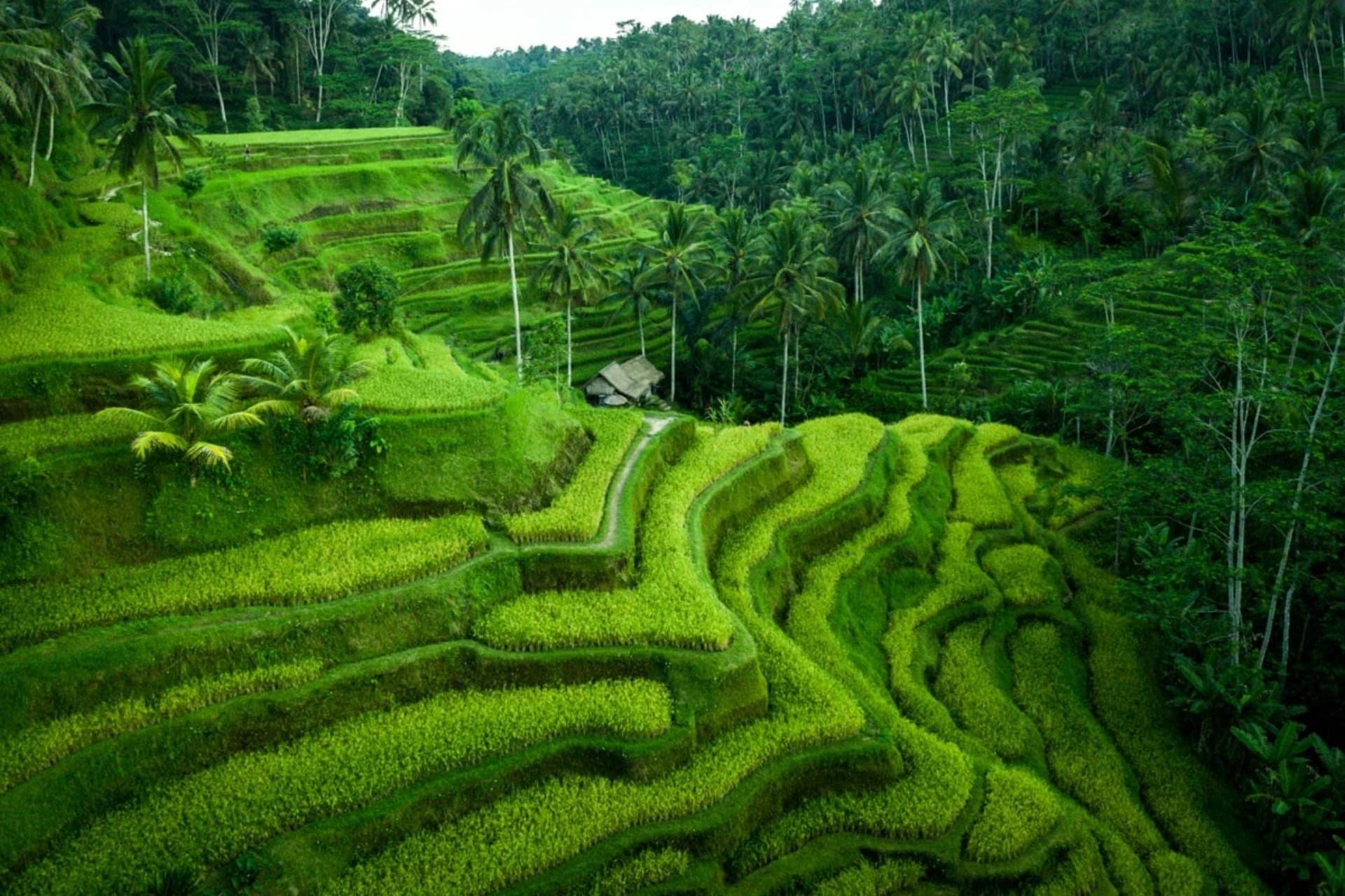 Indonesia